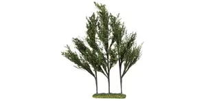 Luville General Tree dark green