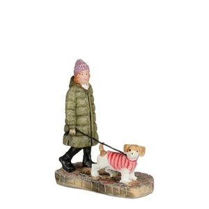 Luville Schneewald Walking with a dressed up dog