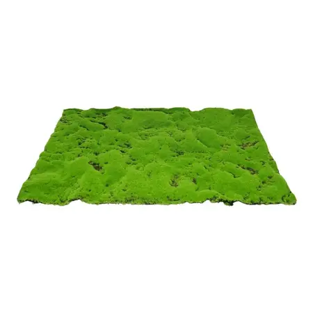 My Village Artificial Moss Mat Green Medium 70x50 cm