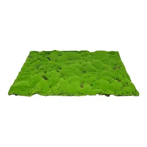 My Village Artificial Moss Mat Green Medium 70x50 cm
