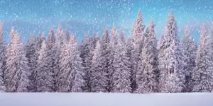 My Village Background Cloth Snowy Forest 300x150 cm - image 1