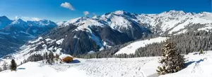 My Village Background Double-Sided - Winter Sports/Forest 98x33 cm - image 3
