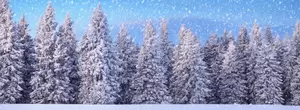 My Village Background Double-Sided - Winter Sports/Forest 98x33 cm - image 4