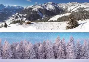 My Village Background Double-Sided - Winter Sports/Forest 98x33 cm - image 1