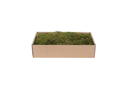 My Village Dried Moss Green/Brown 500g