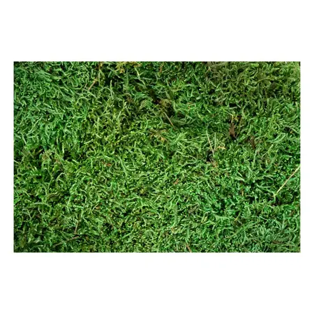 My Village Flat Moss Green 500 grams - image 2