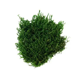 My Village Flat Moss Green 50g - image 2