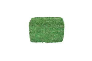 My Village Moss Green 1000 grams - image 1