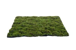 My Village Moss Mat Medium Green/Brown 70x50cm