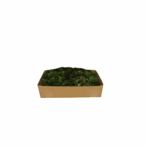 My Village Reindeer Moss Dark Green 500g - image 1