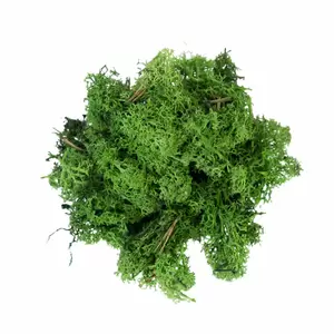 My Village Reindeer Moss Dark Green 500g - image 2