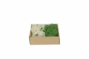 My Village Reindeer Moss Mix Dark Green-Natural 250 g
