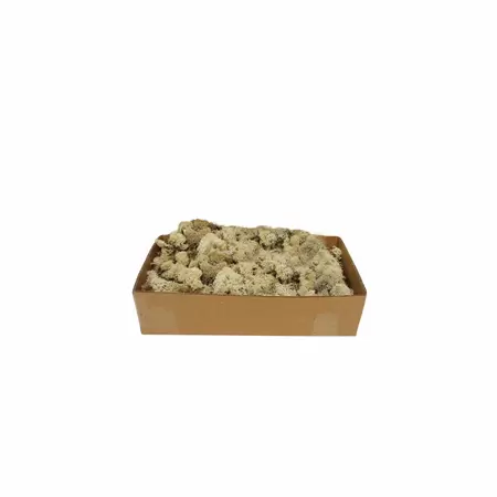  - image 1