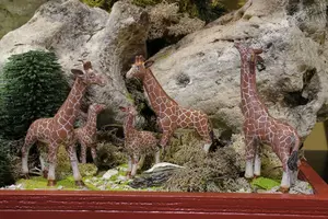 Luville General Giraffe family 3 stuks - image 2